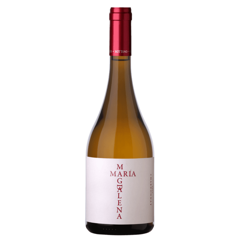 Vinho Branco Sottano Maria Magdalena Chardonnay 2019
