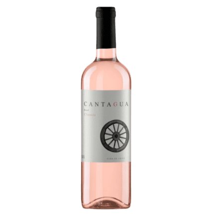 Vinho Rosé Cantagua Classic