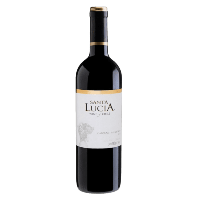 Vinho Tinto Santa Lucia Merlot 2018