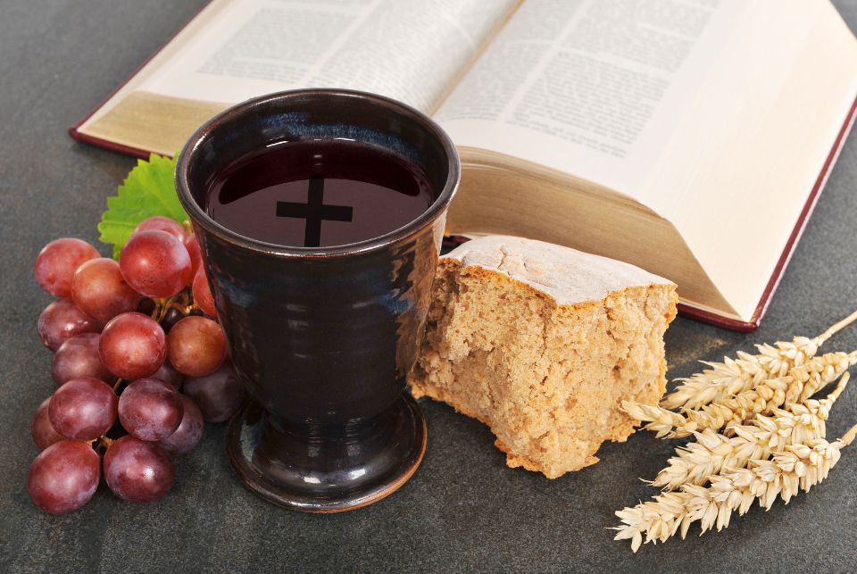 Vinho na Bíblia: Entre o Sagrado e o Profano - Elite Vinho