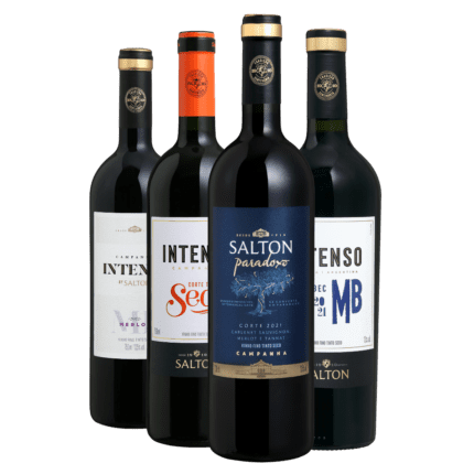 Kit 4 Vinhos Tintos - Família Salton