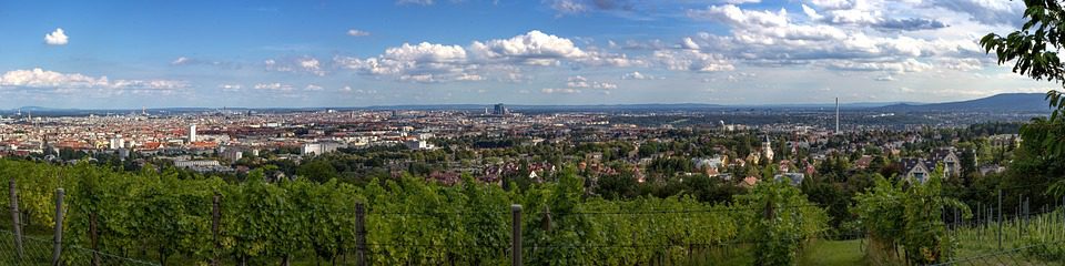 O Dia Internacional do Carmenère: Uma Uva Redescoberta