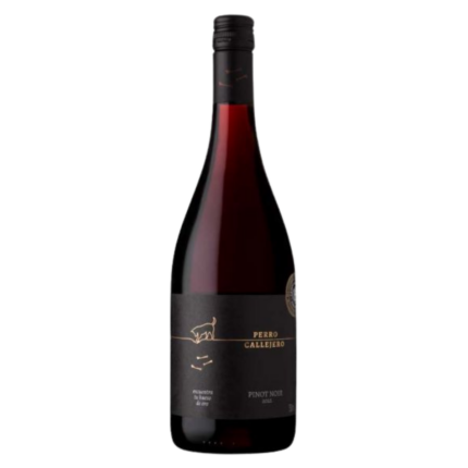 Vinho Tinto Perro Callejero Pinot Noir 2022