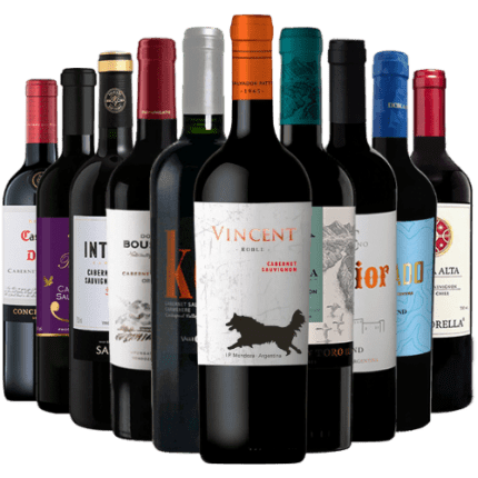 kit 10 vinhos tintos - cabernet sauvignon