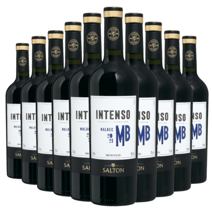 Kit 10 Vinhos - Salton Intenso Malbec Tintos