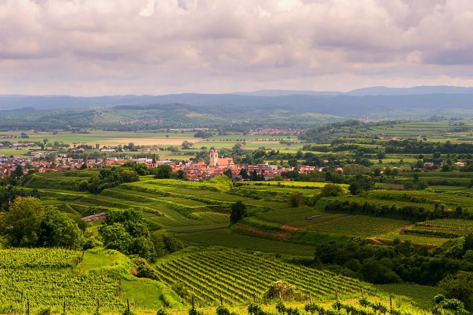 Cellier des Princes: A Nobreza dos Vinhos Franceses