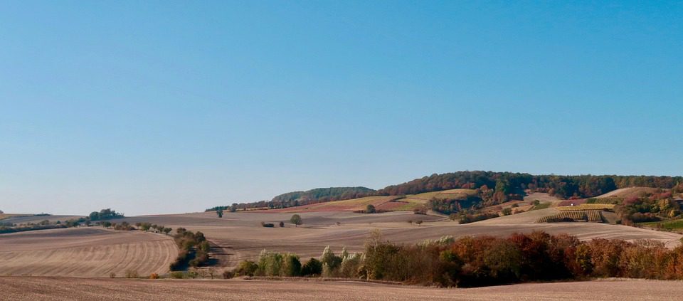 Chateau Desclans: Os Rosés que Conquistaram o Mundo