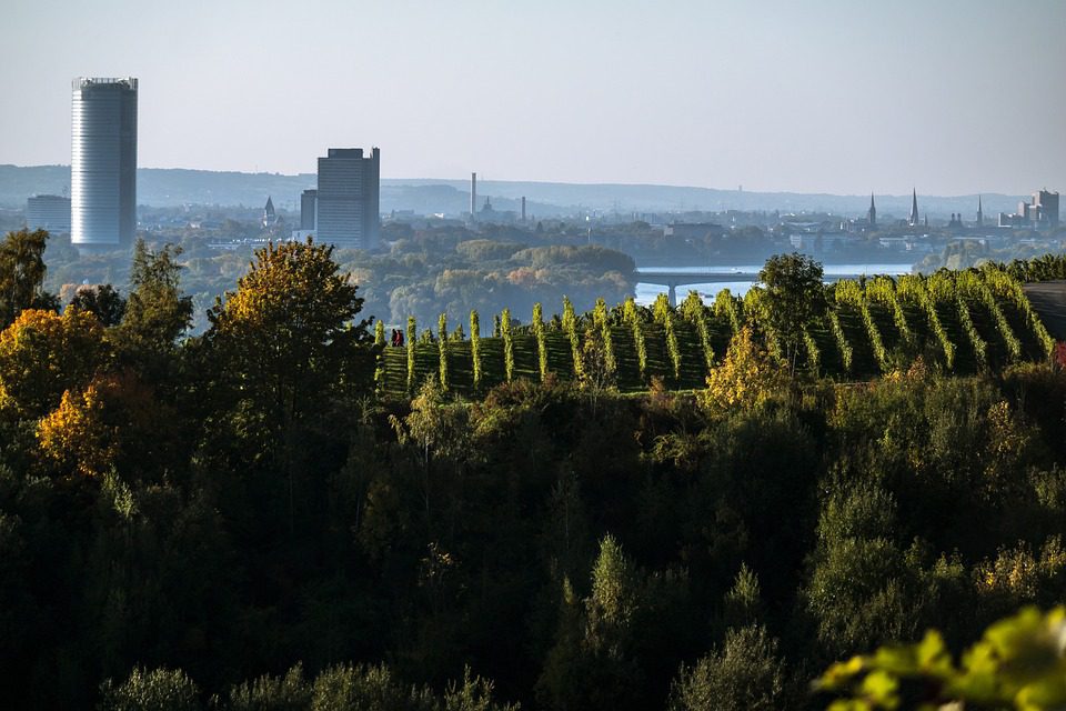 Chateau La Coste: Vinhos Provençais que Encantam os Sentidos