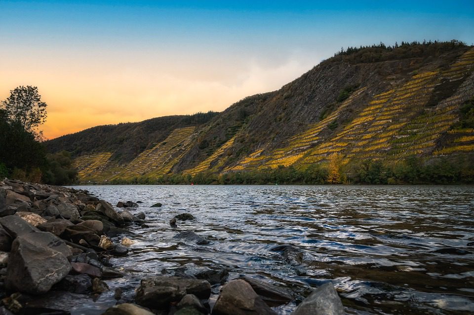 Cheval des Andes: A Fusão Franco-Argentina em Vinhos Sublimes