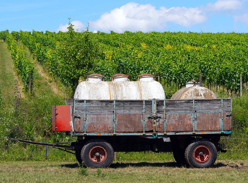 Eureka Wines: Descubra Vinhos Surpreendentes de Todo o Mundo