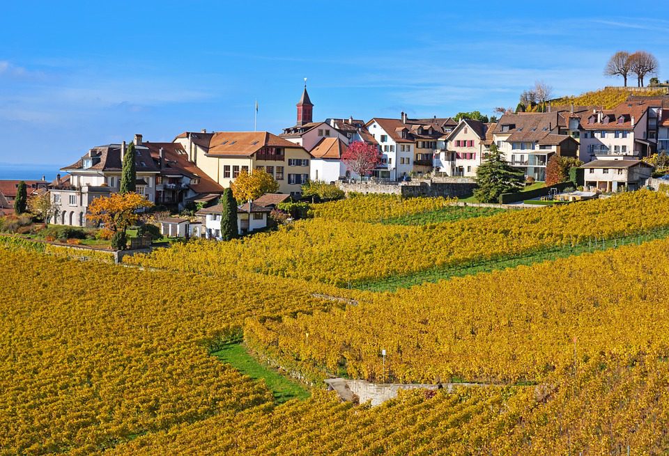 Hacienda Lopez de Haro: A Essência de Rioja em Cada Vinho