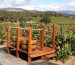 Luca Wines: A Paixão Argentina por Vinhos de Terroir