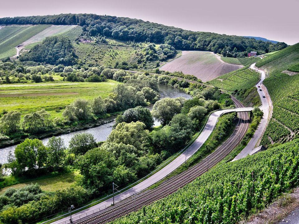 Poggio Salvi: Vinhos Toscanos que Encantam com sua Elegância