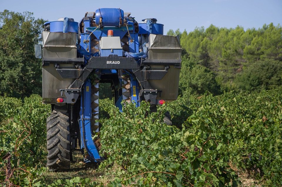 Segur Estates: Vinhos Franceses que Definem Elegância