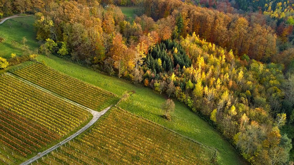 Valdorella: Espumantes Italianos para Momentos Especiais