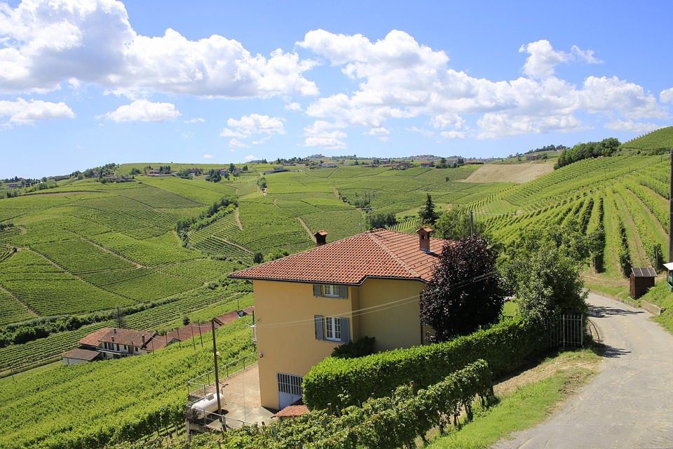 Vignobles Jalousie Beaulieu: Vinhos de Bordeaux com Paixão