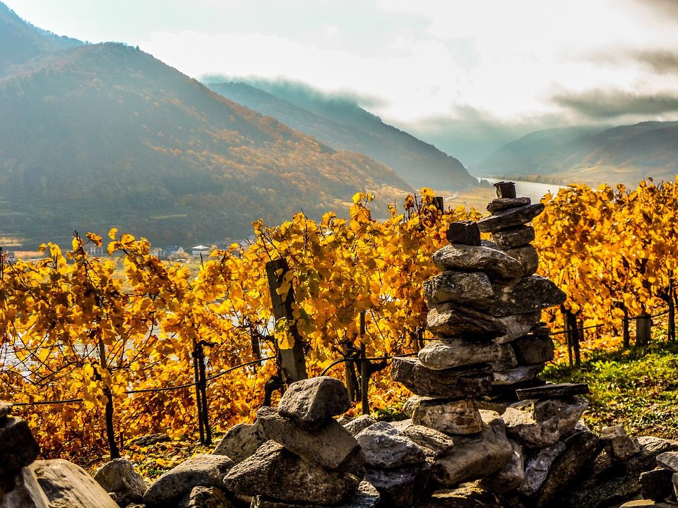 Vina de Aguirre: Vinhos Chilenos com Tradição Familiar