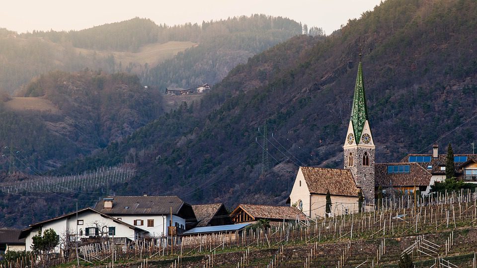 Bodega Teoria: A Ciência por Trás do Vinho Perfeito