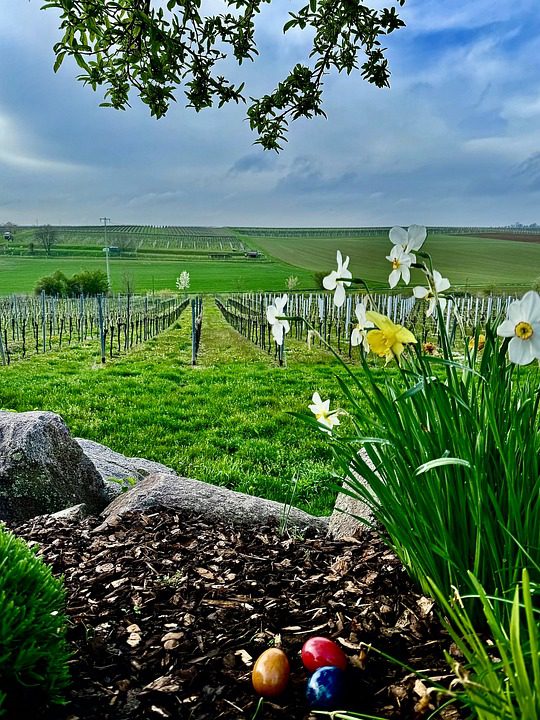 Bodegas Valduero: Guardiões do Terroir de Ribera del Duero