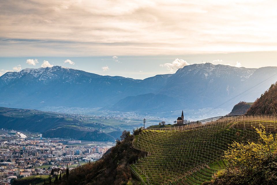 Cantina Sorelli Srl: A Autenticidade do Vinho Toscano