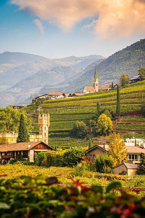 Castello di Querceto: Querceto: Um Castelo e Suas Vinhas Históricas