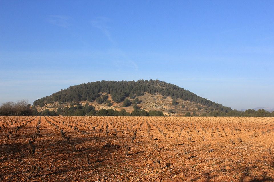 Château Vieux Lavergne: A Tradição que Persiste em Saint-Émilion