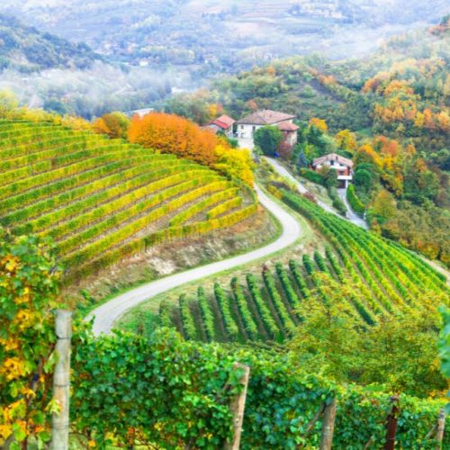 Bodegas Chandon: Espumantes que Celebram a Vida - Elite Vinho