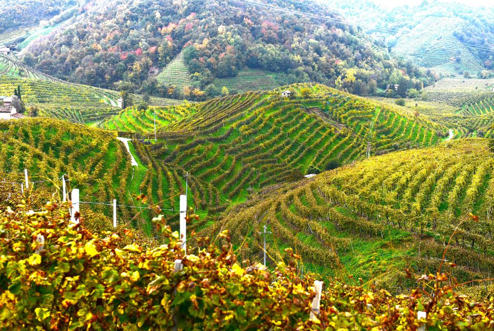 Bodegas Budeguer: Uma Fusão de Culturas e Vinhos - Elite Vinho