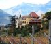 Contrada Monte: O Espírito do Vinho Siciliano