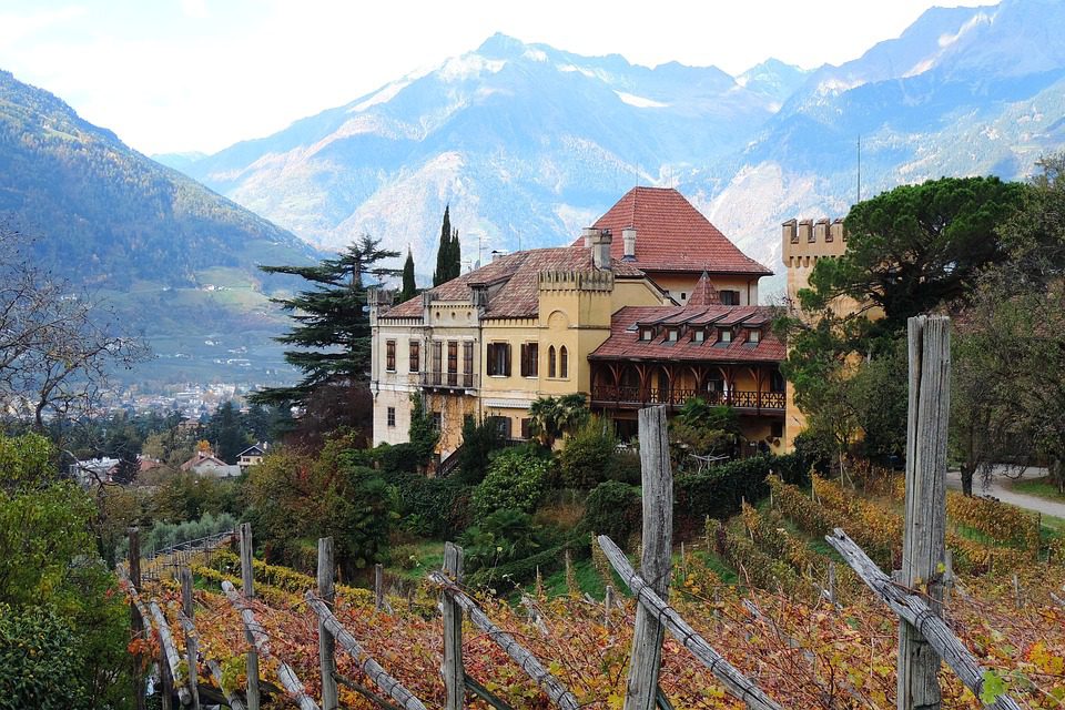 Contrada Monte: O Espírito do Vinho Siciliano