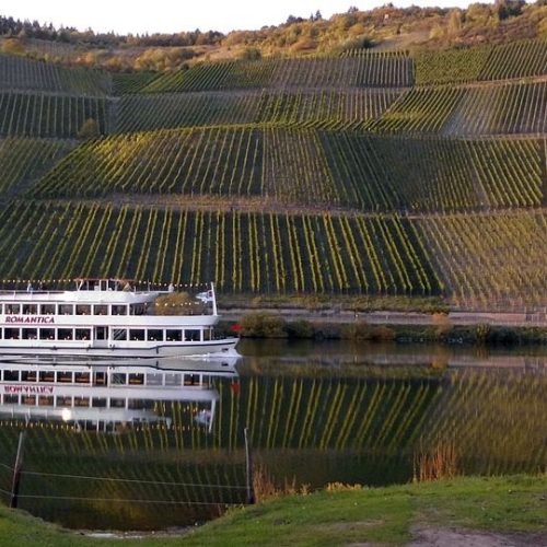 Funckenhausen: Alegria e Inovação nos Vinhos Argentinos