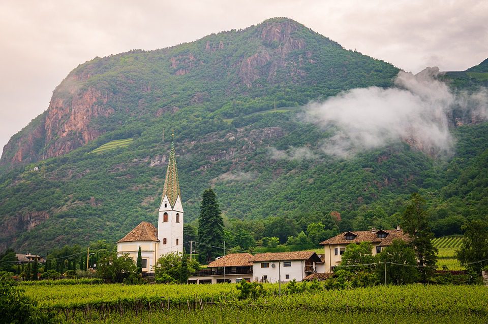 Linton Park: A Elegância do Vinho Sul-Africano