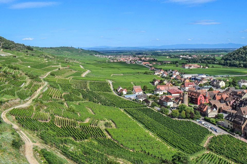 Descobrindo os Vinhos de Friuli-Venezia Giulia