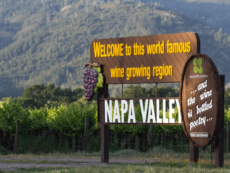 Os Vinhedos do Vale do Napa: Pioneiros do Enoturismo