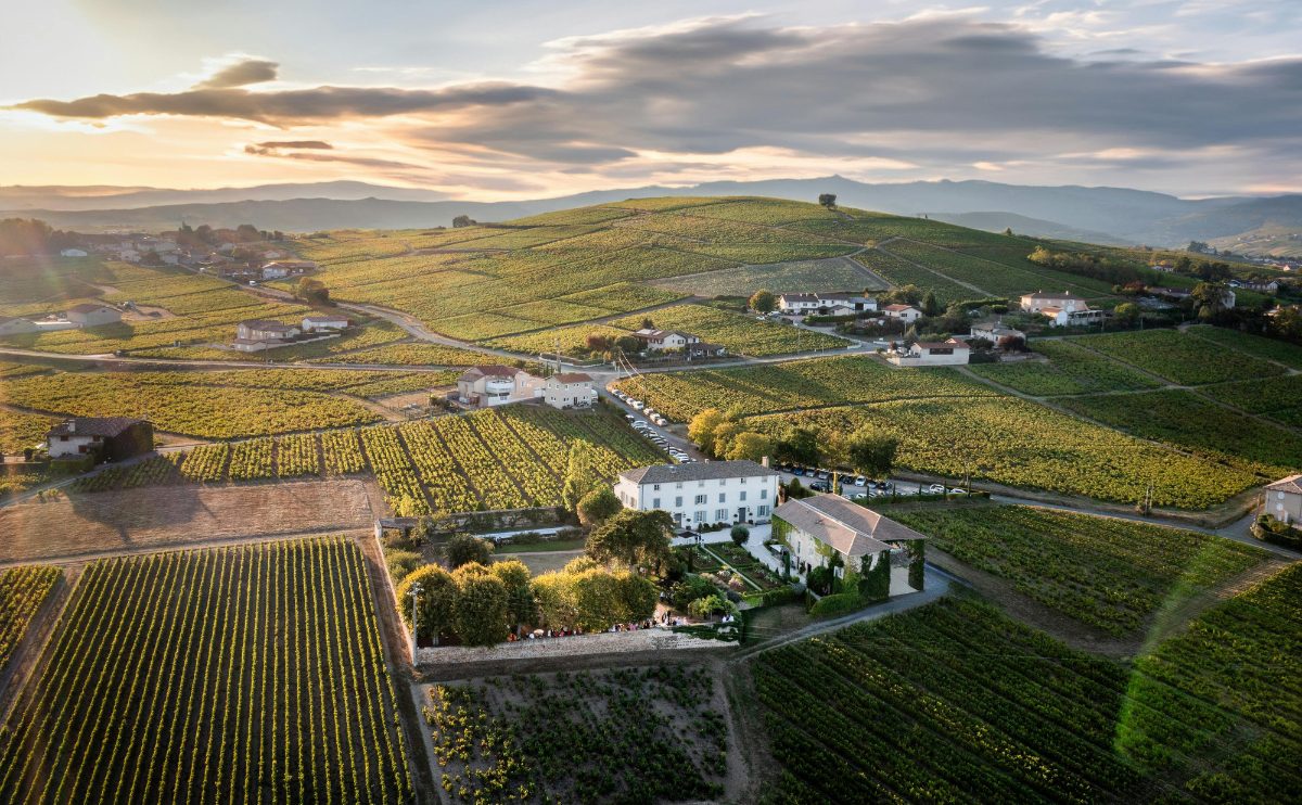 Os Vinhedos de Hermitage: Um Tesouro Francês