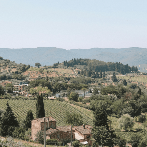 a rica tradição dos vinhos de Montepulciano, desde a história e produção do renomado Vino Nobile di Montepulciano até as experiências de enoturismo na Toscana.