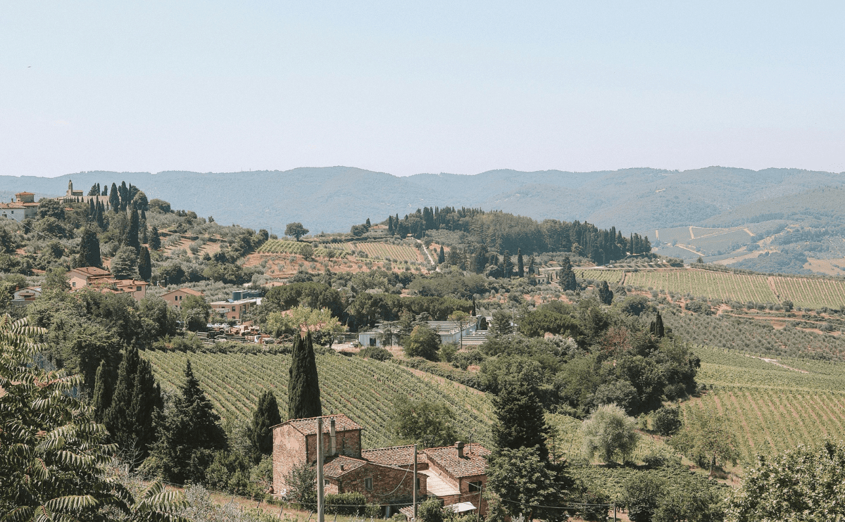 a rica tradição dos vinhos de Montepulciano, desde a história e produção do renomado Vino Nobile di Montepulciano até as experiências de enoturismo na Toscana.