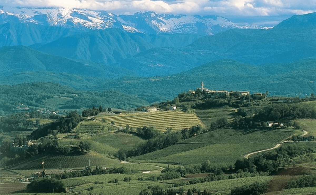 A Magia dos Vinhos de Friuli na Itália