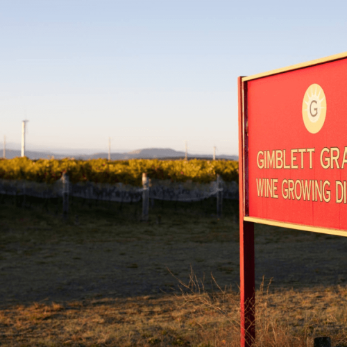 Explorando os Vinhos de Gimblett Gravels na Nova Zelândia