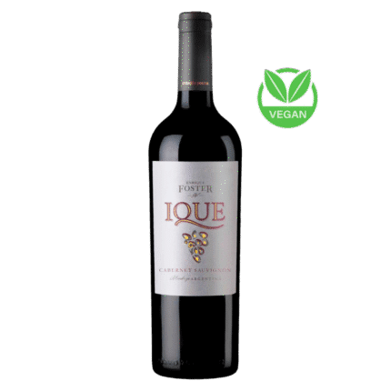 Vinho Tinto Vegano Enrique Foster IQUE Cabernet Sauvignon 2021