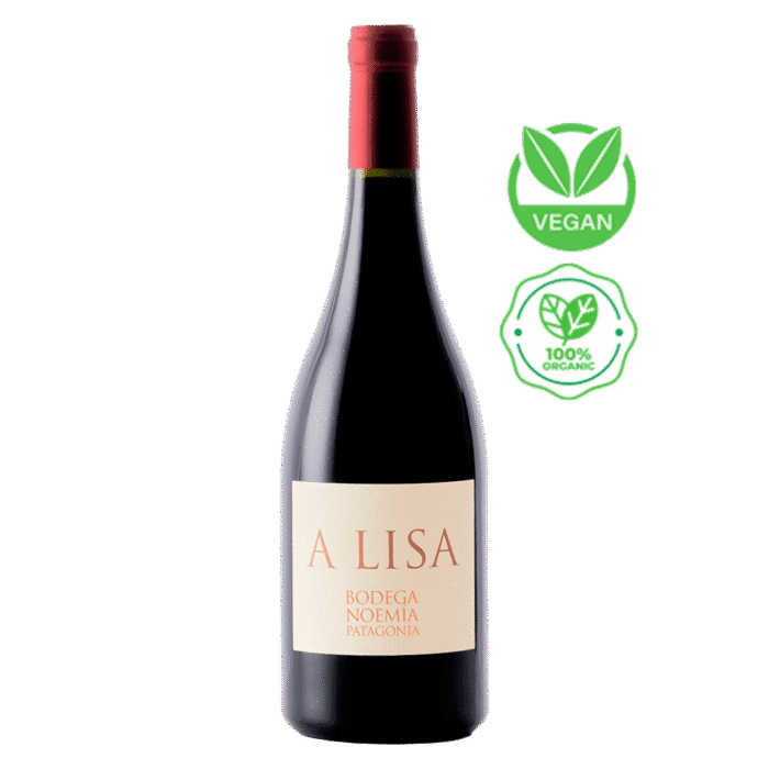 Vinho Tinto A Lisa Bodega Noemía Patagonia Malbec 2020 - Imagem 1