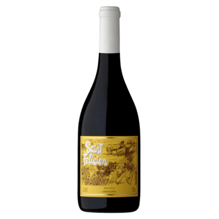 Vinho Tinto Saint Felicien Bonarda 2023