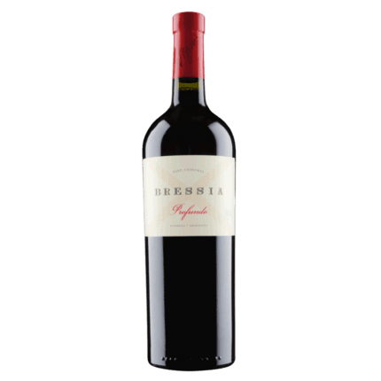 Vinho Tinto Bressia Profundo Blend 2021