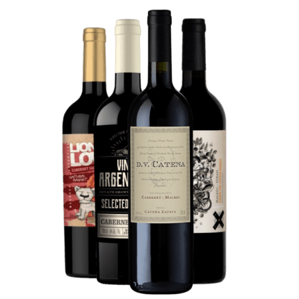 Kit 4 Vinhos - Terroir Mendocino