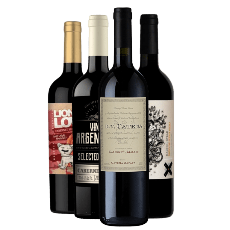 Kit 4 Vinhos - Terroir Mendocino